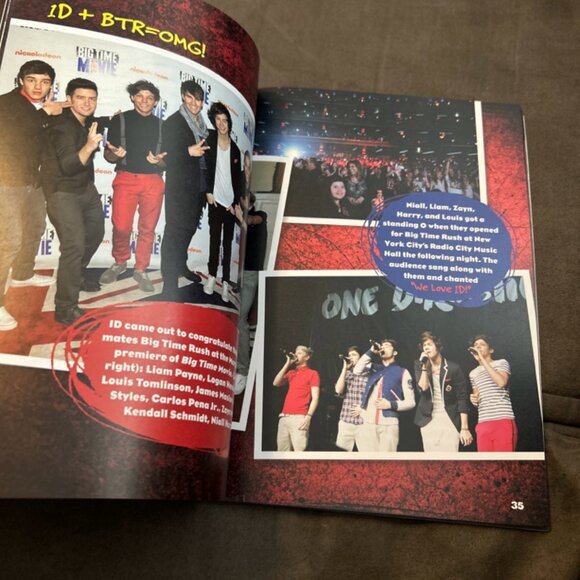 Superstars! One Direction Inside Their World The Music Sensation - Picture 10 of 10